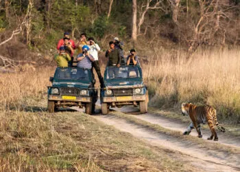 JIM CORBETT NATIONAL PARK