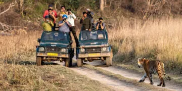 JIM CORBETT NATIONAL PARK