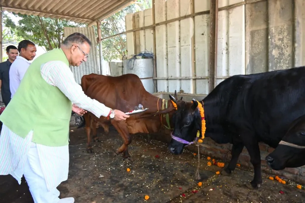 Dev Bhoomi Samiksha गोवर्धन पूजा के अवसर पर गौमाता का पूजन करते कैबिनेट मंत्री गणेश जोशी -