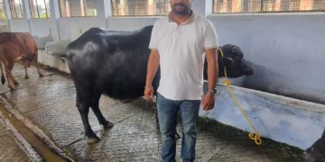 Dev Bhoomi Samiksha एक लाख से ज्यादा में बिकी कटिया, मेले में बनी चर्चा का विषय -