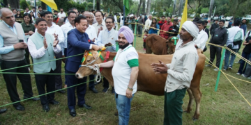 Dev Bhoomi Samiksha पंतनगर किसान मेले में जम्बी भल्ला की गाभिन जर्सी गाय बनी सर्वोत्तम पशु -